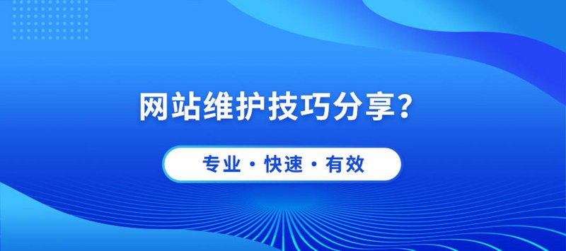 网络科技公司：推动未来数字经济时代的创新力量